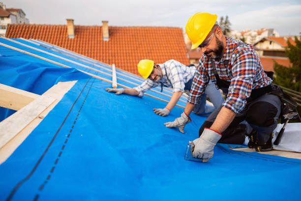 Best Metal Roofing Contractor  in Mosinee, WI